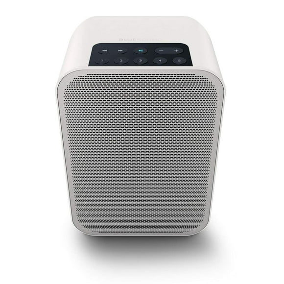 Bluesound Pulse Flex 2i - Altavoz Inteligente inalámbrico portátil multihabitación con Bluetooth, Co multicolor