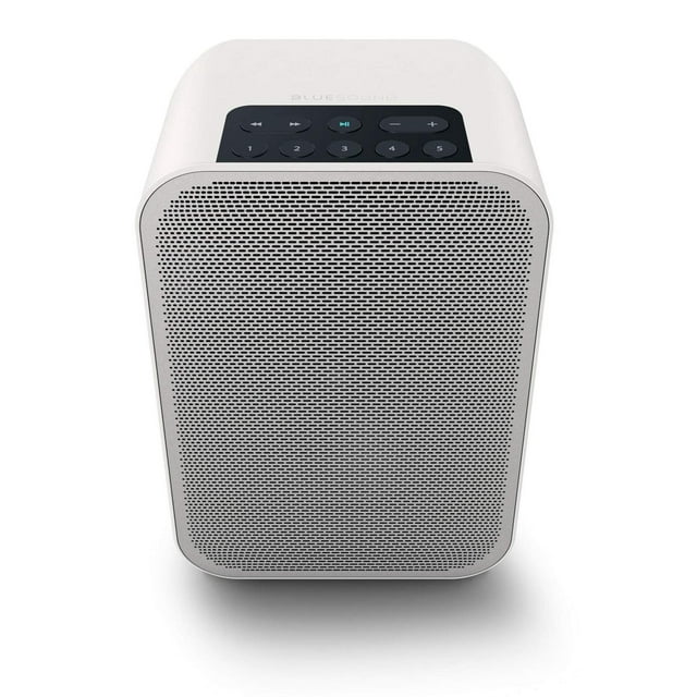 Bluesound Pulse Flex 2i - Altavoz Inteligente inalámbrico portátil multihabitación con Bluetooth, Co
