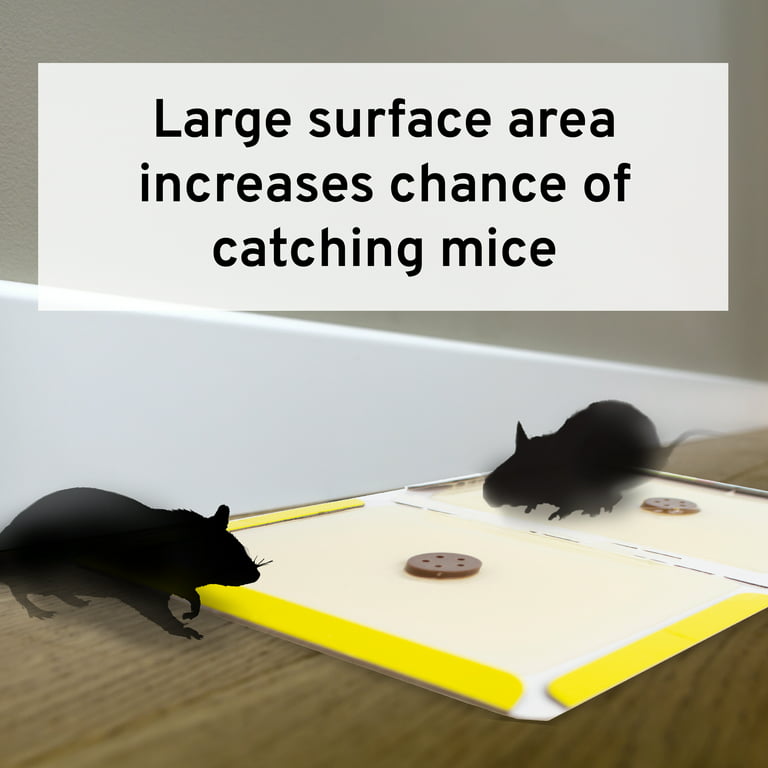 LULUCATCH Super Glue Traps 6 Pack for Mice & Snakes, Larger, Heavier Sticky  Traps with Non-Toxic Glue. Sticky Mouse Traps Indoor, Easy to Set, Safe to