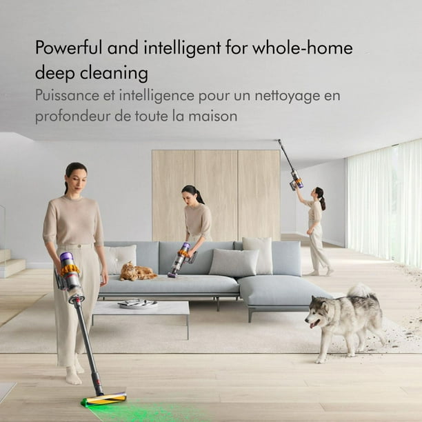 Dyson V15 Detect Cordless Vacuum - Walmart.ca