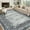 Gray/Green, variant on Tzou Machine Washable Area Rug, Non-Slip Modern Pearl Velvet Carpet with Printed Border for Living Room, Bedroom