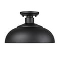 thumbnail image 2 of Levitt 1-Light Outdoor Semi-flush in Natural Black with Natural Black, 2 of 4