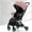 Pink, variant on Baby Stroller, Lightweight Stroller, Umbrella Stroller, Travel stroller, Compact Fold, Multi-Position Recline, With Large Storage Basket, Canopy With Sun Visor, Gray