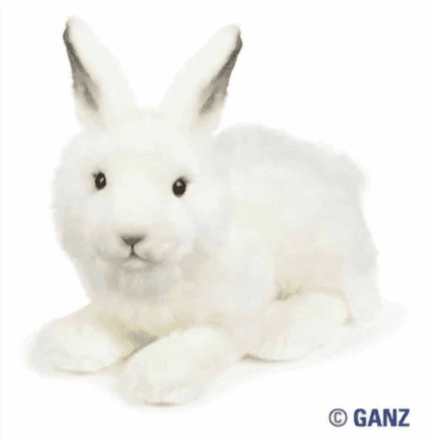 webkinz signature arctic hare with trading cards - Walmart.com