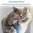 thumbnail image 4 of Rx Vitamins Onco Support - Dog & Cat Immune Support Supplement with Milk Thistle for Cats, Spirulina, Kelp Powder for Dogs, and More - Also Aids in Gut Health and Digestive Support - 300g, 4 of 9