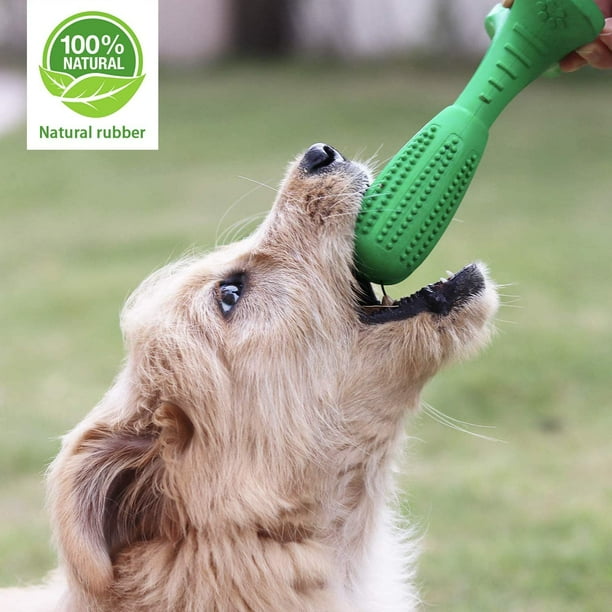 Heyrekt Dog Toothbrush Brushing Stick Non Toxic Natural Rubber Durable Bite Resistant Teeth Cleaning Chew Toys For Small And Medium Pets Oral Dent