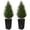 Black, variant on OLIVIVI Artificial Cedar Tree 4FT Tall Faux Silk Plant for Home Office Decor Indoor Outdoor Fake Lifelike Potted Tree with Wood Branches 2 pack