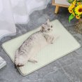 thumbnail image 3 of CBFFDC Washable Pet Cooling Mat Self Cooling Pet Ice Pad Soft Washable Dog Mat with 3D Massage Bumps Easy to Clean Scratch Resistant Summer Cooling Blanket, 3 of 7