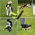 thumbnail image 2 of Ensemble de Sifflets pour Chien Sifflet pour Chien Sifflet pour Chien Sifflet Ultrasonique Sifflet d'Entraînement Sifflet pour Chien Réglable Sifflet Ultrasonique Silencieux pour Chien, 2 of 5