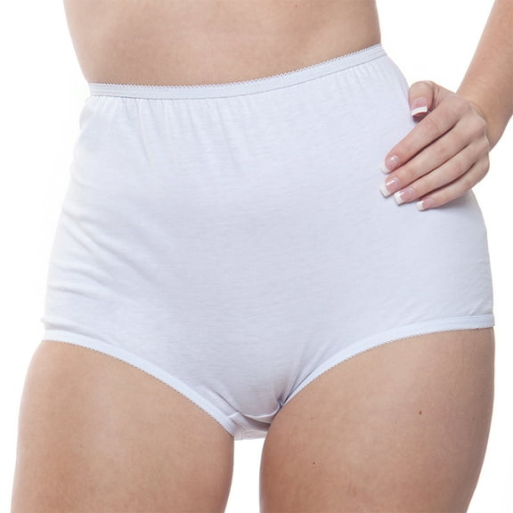 Women's Teri Cotton Full Cut Brief Panties Pastel 10-Pack