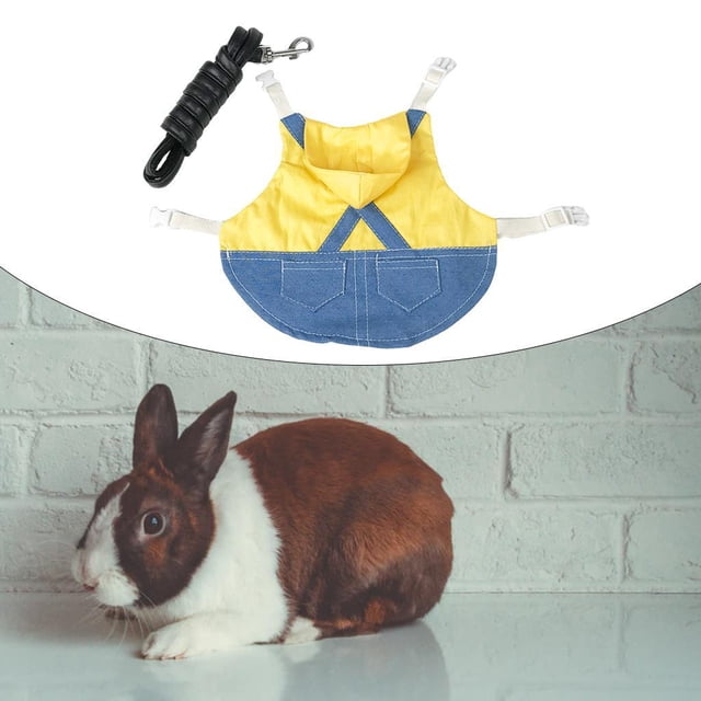 Conejo para mascotas, arnés y correa transpirables para animales Conjunto de arnés y correa para conejos para animales y preciosos - amarillo, L L Yinane Arnés de conejo