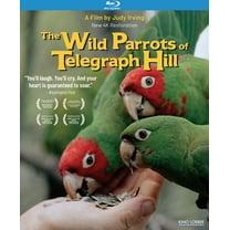 The Wild Parrots of Telegraph Hill