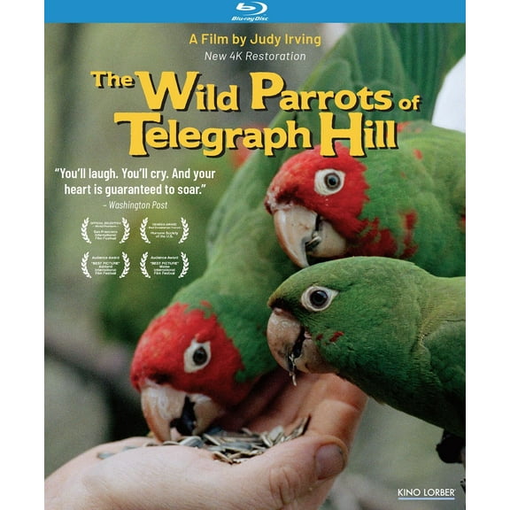 The Wild Parrots of Telegraph Hill