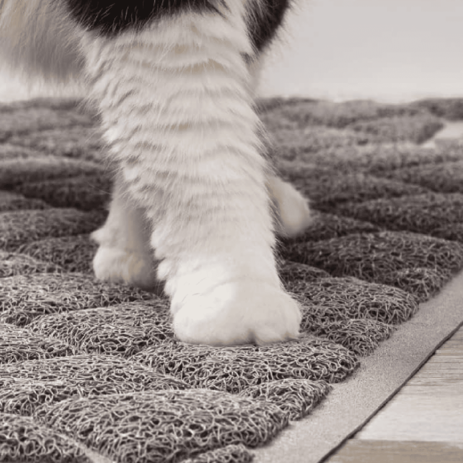 Cat Litter Box Mat, 40x28, Water Resistant, US Designed Kitty Litter Trapping Mats, Easy to Clean, Scatter Control, Less Mess and Clean Floors, Kitten Supplies for Indoor Cats, Gray