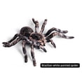 thumbnail image 3 of 20 Piezas 9,5 cm Gran Falso Juguete Modelo de Insecto Araña Realista Divertido Accesorio Aterrador de Halloween, 3 of 5