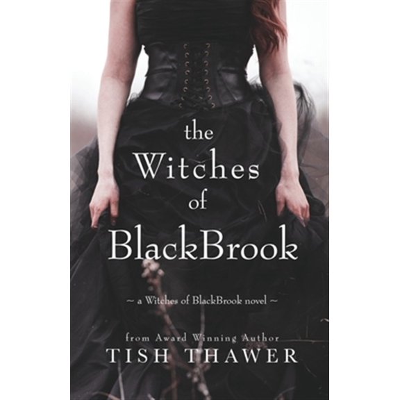 Pre-Owned The Witches of BlackBrook: Volume 1 Paperback