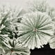 thumbnail image 3 of Bewildely Mimbre de terciopelo de cedro blanco que cae de 2,7 m para chimenea de árbol de Navidad, puerta de escalera, guirnalda de decoración de patio Kits de decoración para fiestas Bewildely HA038496-00, 3 of 6