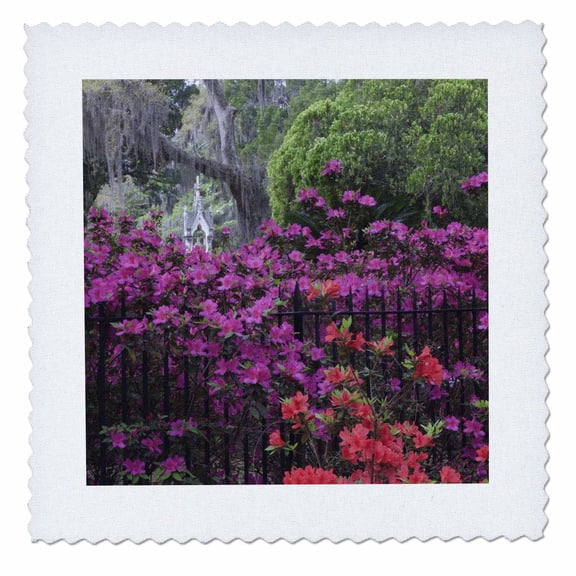 3dRose, Georgia, Savannah, Azaleas in Bonaventure Cemetery - US11 JWL0523 - Joanne Wells, 8x8 inch quilt square