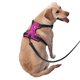 thumbnail image 2 of Fotbe Rose Red Glitter Arnés para Perro con Estampado –Chaleco Ajustable Acolchado con Asa de Control para Perros Grandes-Small, 2 of 6