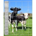 thumbnail image 1 of Bingirl Clôture à Maillons de Chaîne Durable et Antirouille 5 Pieds x 328 Pieds pour Protection de Cour, Bétail, Volaille, Ranch, 1 of 7