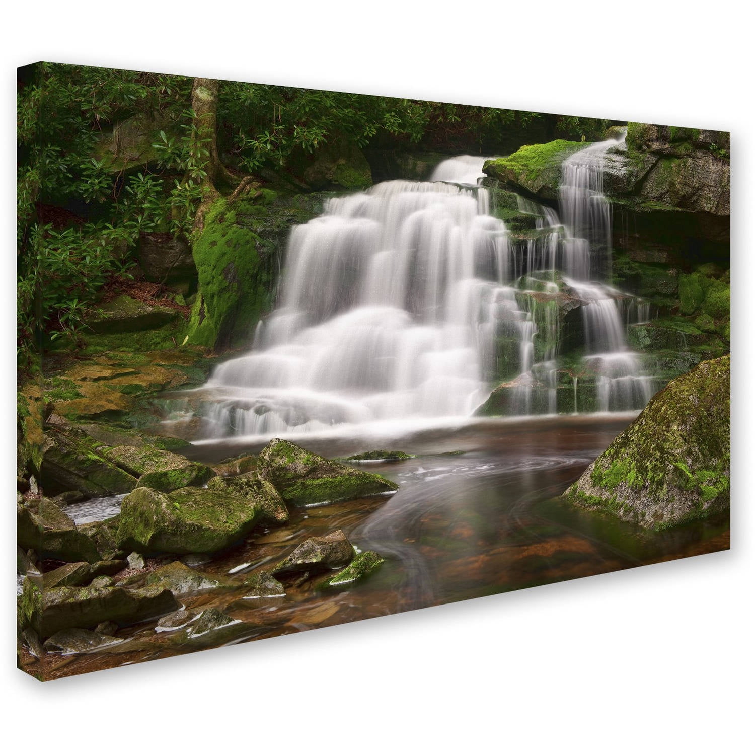 Trademark Fine Art 'Elakala Falls' Canvas Art by Michael Blanchette Photography