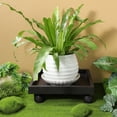 thumbnail image 2 of GOOHOCHY Macetero con ruedas: Soporte metálico para macetas grandes - Bandeja para jardín, patio, interior y exterior, 2 of 8
