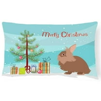 Carolines Treasures BB9327PW1216 Lionhead Rabbit Christmas Canvas Fabric Decorative Pillow, Teal, 12H x16W, multicolor