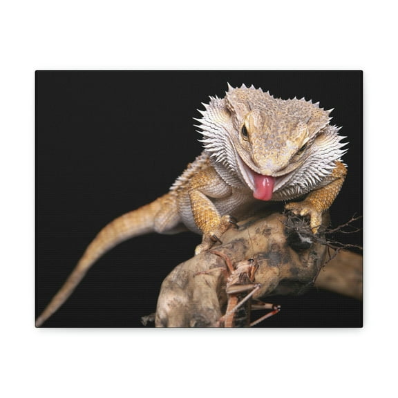 Funny Bearded Dragon Print Animal Wall Art Wildlife Canvas Prints Wall Art Ready to Hang Unframed