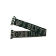 thumbnail image 3 of Foulard en Tricot Réversible Serpentard, 3 of 4