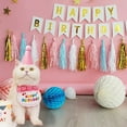 thumbnail image 6 of Pet Birthday Party Hat Bib and Scarf Set for Cats and Dogs Celebration Accessories, 6 of 6
