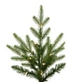 thumbnail image 3 of Vickerman  5 ft. x 38 in. Green Norway Spruce Artificial Pre-Lit Christmas Tree with 300 LED Color Changing - 5 mm, 3 of 8