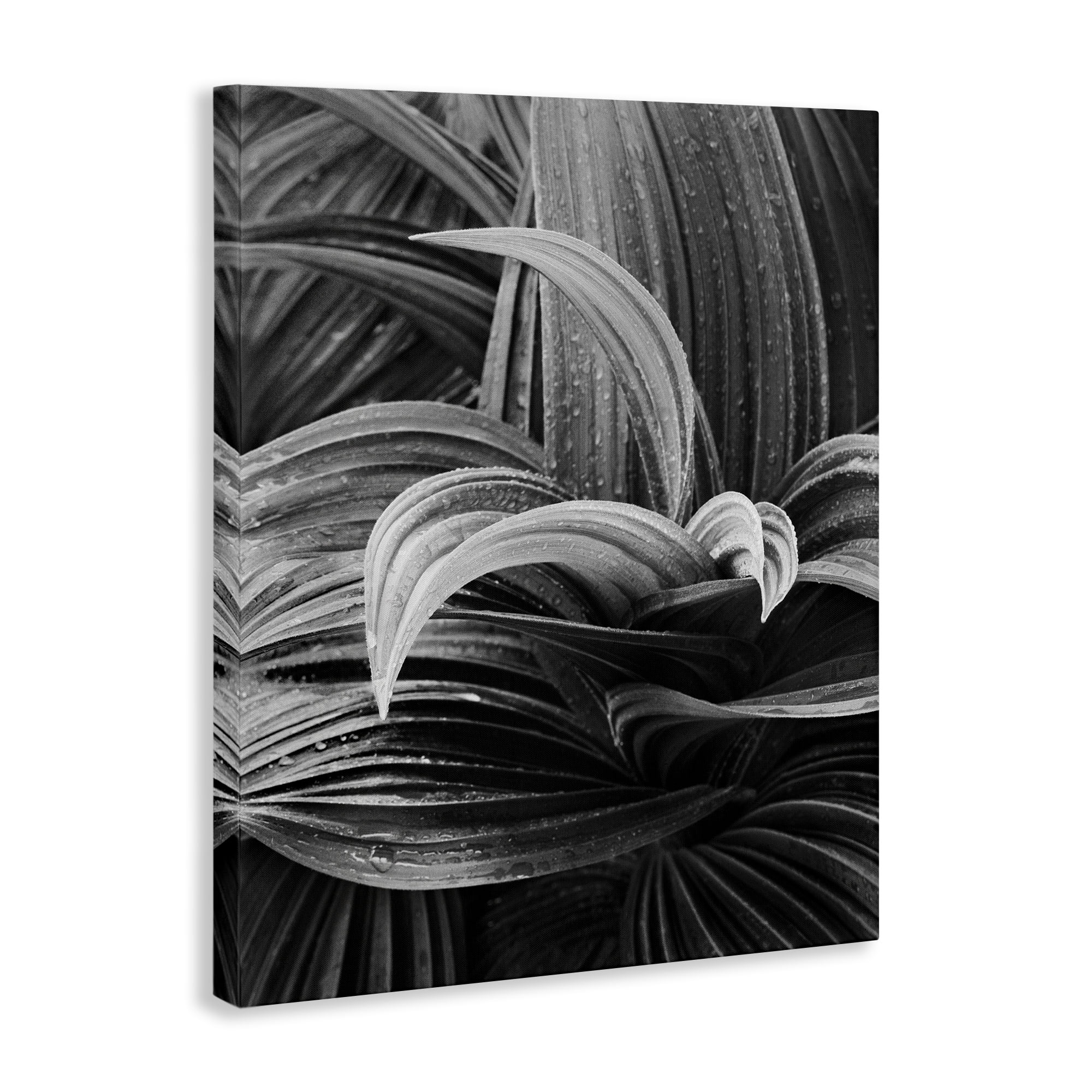 Stupell Industries Wet Leaves Detail Botanical & Floral Photography Gallery Wrapped Canvas Art Print Wall Art, 24 x 30