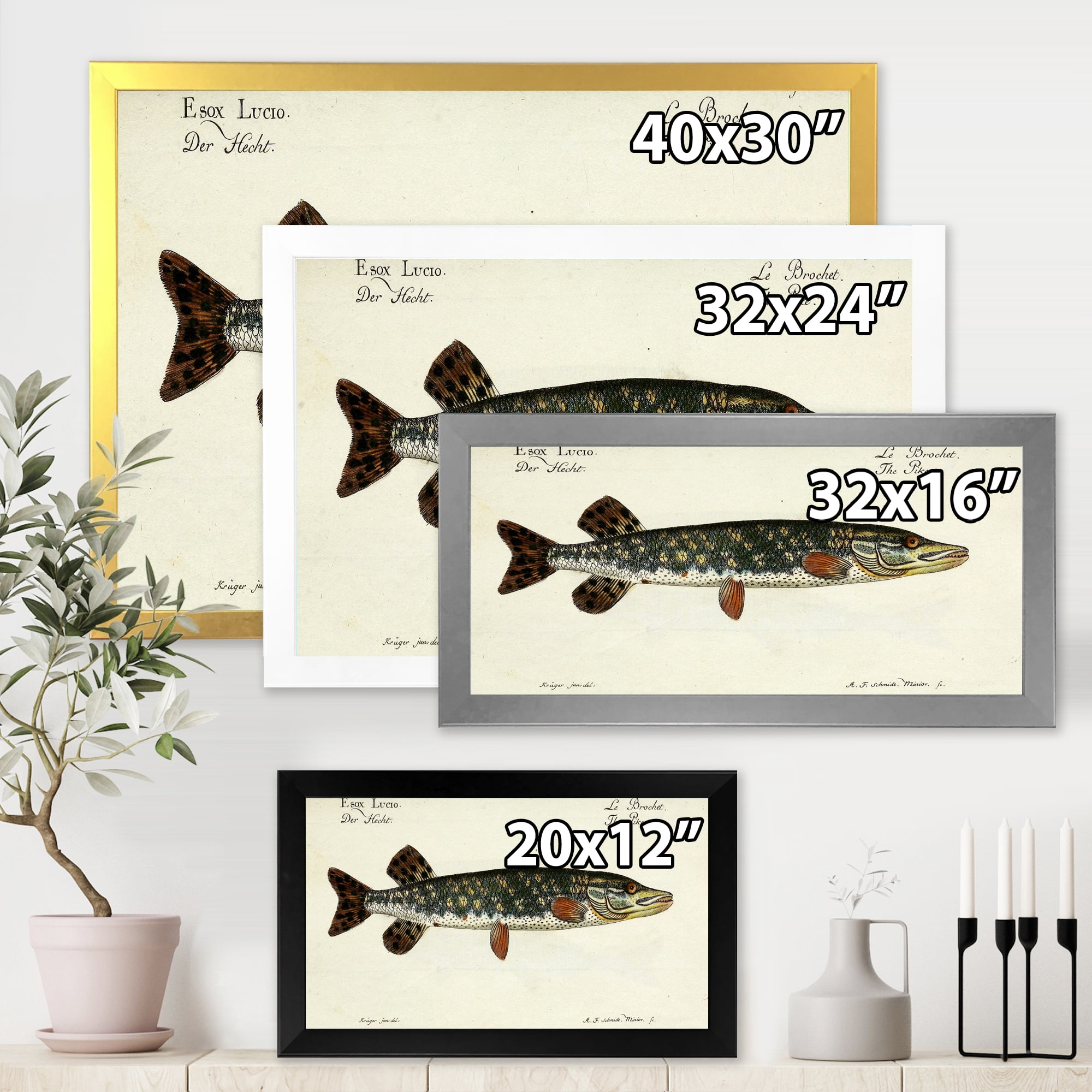 Designart 'Portrait Of A Green Fish On Beige' Nautical & Coastal Framed Art Print