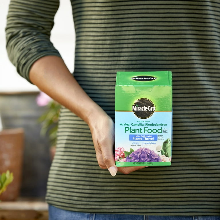 Miracle-Gro Water Soluble Azalea, Camellia, Rhododendron Plant