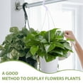 thumbnail image 6 of Pixnor 30pcs Plastic Plant Hanging Holders Flower Stand Hooks Flower Support Tools, 6 of 6