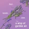 thumbnail image 4 of Spray ambientador Febreze Lavanda Crepúsculo 240 ml, 2 unidades, 4 of 9