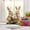 C-9C-clearacne, variant on OEFNTAC Easter Visual Tabletop Decor Home Living Room Bedroom Holiday Spring Centerpiece Colorful Display Attention Grabbing Eye Catching Placement Kids Gift