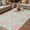 Pink, variant on Orange Brown Flowers Outdoor Rug for Patio/Deck/Porch, Non-Slip Large Area Rug 5 x 8 Ft, Farmhouse Retro Abstract Floral Indoor Outdoor Rugs Washable Area Rugs, Reversible Camping Rug Carpet Runner