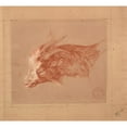 thumbnail image 2 of Jacques-Raymond Brascassat 22x20 Gold Ornate Framed and Double Matted Museum Art Print Titled - Goat Head, 2 of 4