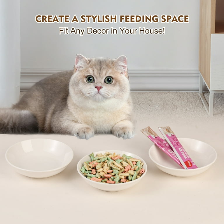 Cat with bowl hot sale