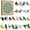 A, variant on Sea Glass Christmas Advent Calendar, 24‑Count 2D Acrylic Hummingbird Pendants, Christmas Tree Hanging Ornaments for Home Window Wall Door Car Holiday Decor