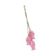 thumbnail image 4 of Decoración de pared de peces de madera con temática náutica y cuerda colgante. Rosa, 4 of 9