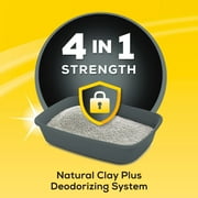 Purina Tidy Cats 4-In-1 Strength Clumping Cat Litter, Floral Scent, 20 lb Jug