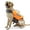 Orange, variant on KASENTEX Dog Life Jacket with Reflective Stripes, Buckle Adjustable Dog Life Vest, Orange, Large
