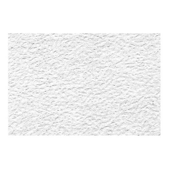 Cartulina Cascaron Blanco DE 1/8 (28) X 35 cm 10 Piezas AleJaz VYRJ9