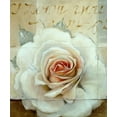 thumbnail image 2 of May 20x23 White Modern Wood Framed Museum Art Print Titled - Frosted Rose 2, 2 of 4