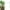 Z5_A, variant on Clearance!Musol Trellis for Potted Plants, Stackable Small Indoor Plant Trellis for Climbing Plants Outdoor for Vine Ivy Hoya Houseplants Flower Plant Support, 3 Pack