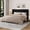 Black velvet, variant on COZONY Full Size Upholstered Bed Frame with Wingback Headboard, Wood Slat Support, No Box Spring Needed, White Flannel
