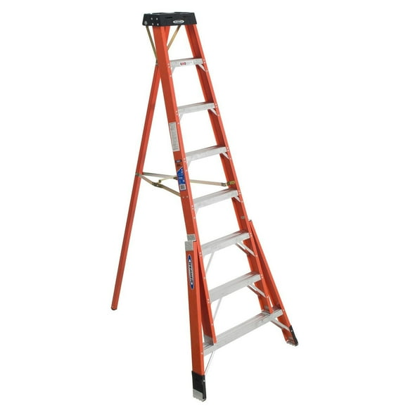 Werner 6 FT Ladders