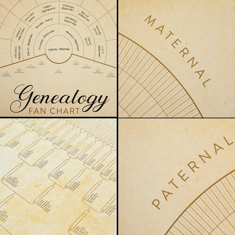 Large Print Genealogy Charts & Forms Kit - 30 Sheets (Pedigree, Fan, Family Group) Acid-Free Paper